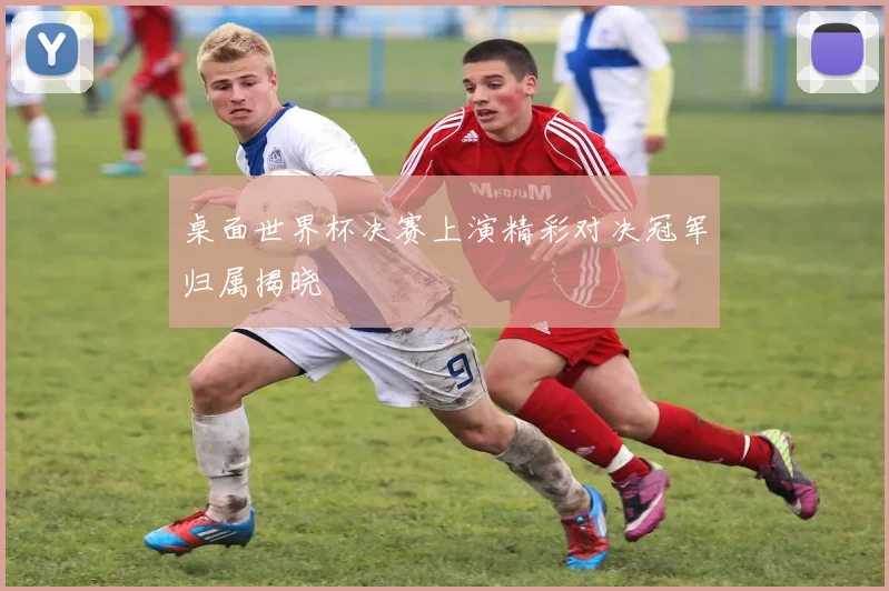 桌面世界杯决赛上演精彩对决冠军归属揭晓